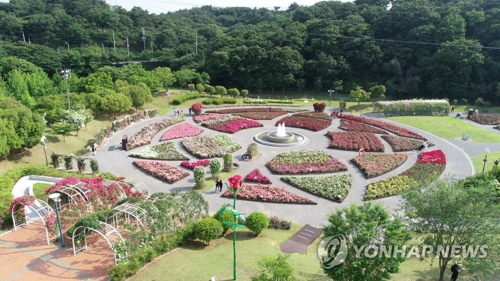 울산대공원 장미축제 올해도 취소…"코로나19 확산 차단"