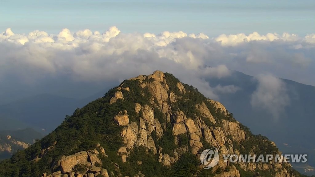 주말에 '방콕'만 하기엔…전국서 조심스러운 나들이