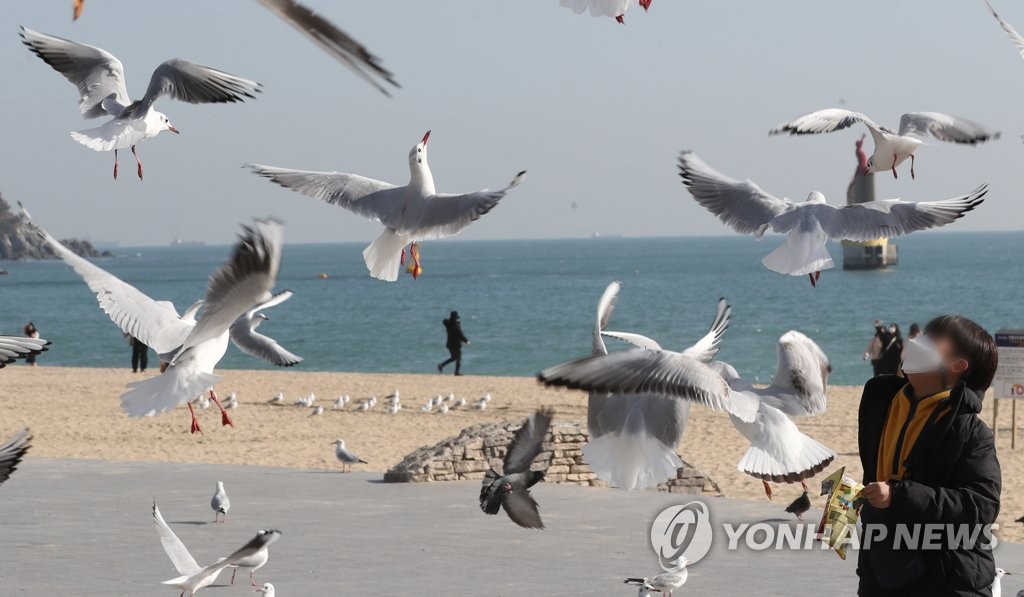 주말에 '방콕'만 하기엔…전국서 조심스러운 나들이