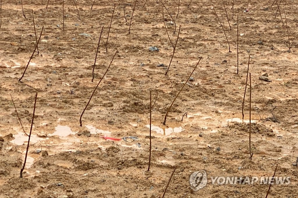 광주 산정지구 '급조 묘목밭' 주인, 농지법위반 등으로 입건