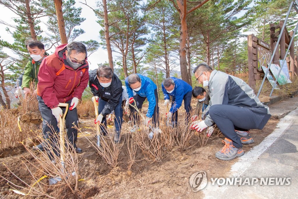 "강원세계산림엑스포 성공 이끈다" 도·조직위·대학 업무협약