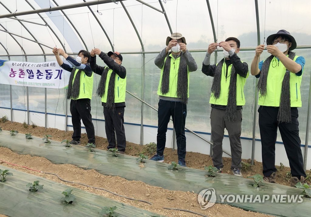 계절근로자 63명 전국 첫 입국…강원 농촌인력 부족 해소 기대