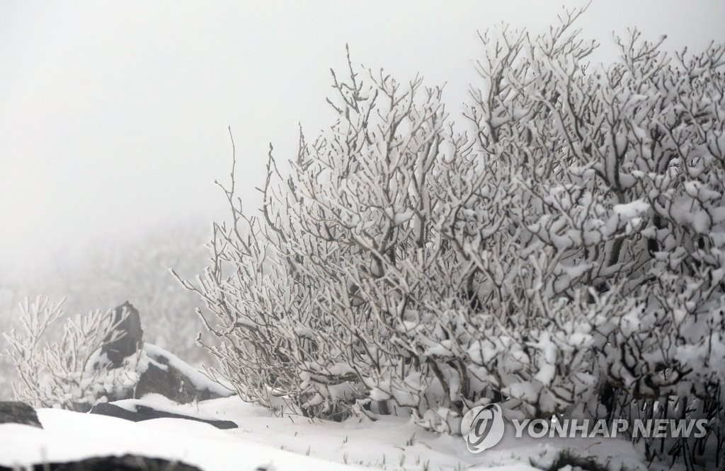 강원 중·북부 산지 대설주의보…22년만에 5월 폭설(종합)