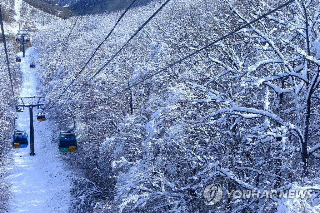 '집에서만 보내기엔 너무 좋은 계절'…마스크 쓰고 밖으로