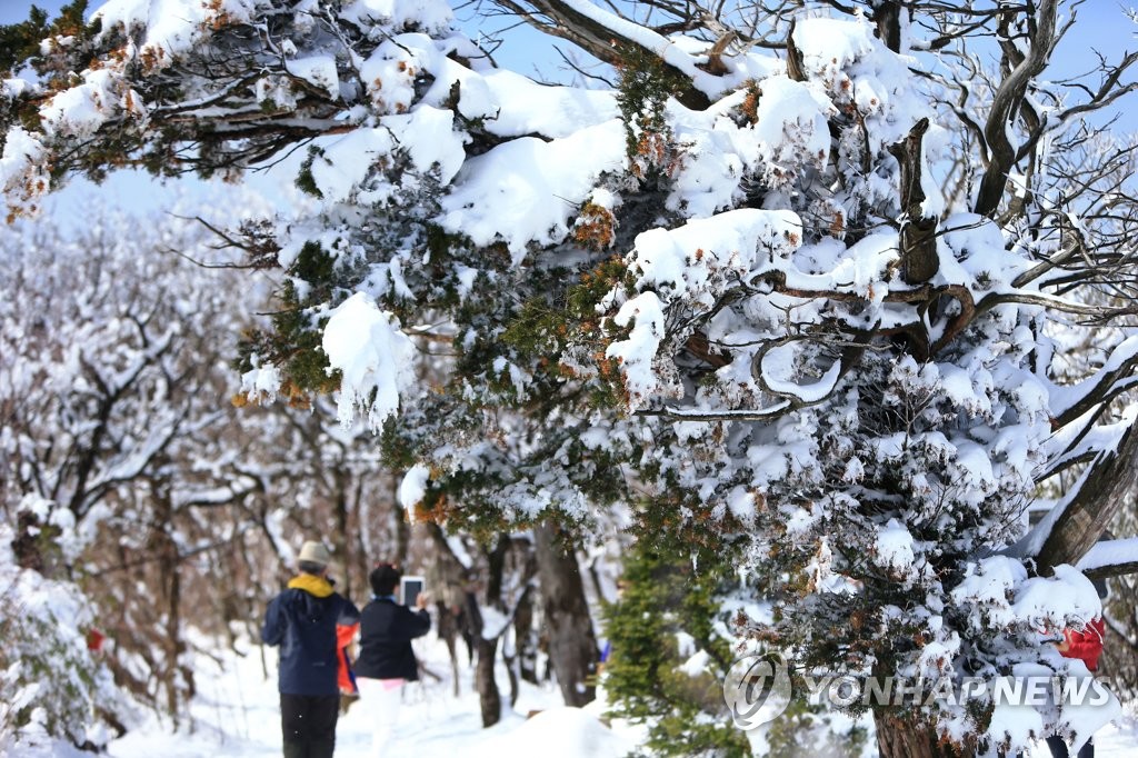 '집에서만 보내기엔 너무 좋은 계절'…마스크 쓰고 밖으로