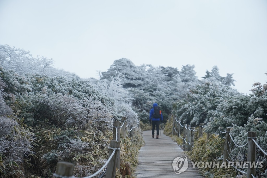 '집에서만 보내기엔 너무 좋은 계절'…마스크 쓰고 밖으로