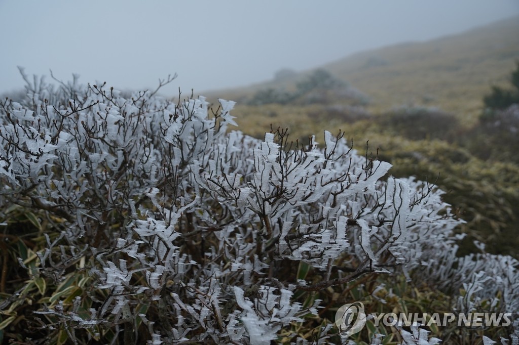 [픽! 제주] 한라산 깜짝 추위…때아닌 상고대 '꽁꽁'