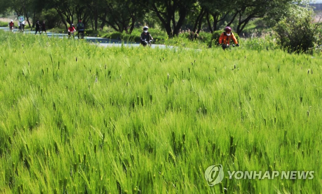 [내일날씨] 전국 곳곳 한때 비…오후 황사 영향 미세먼지