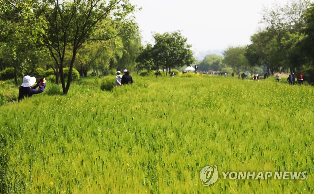 [날씨] 어린이날, 비 그치고 맑아져…해안·산지 강풍