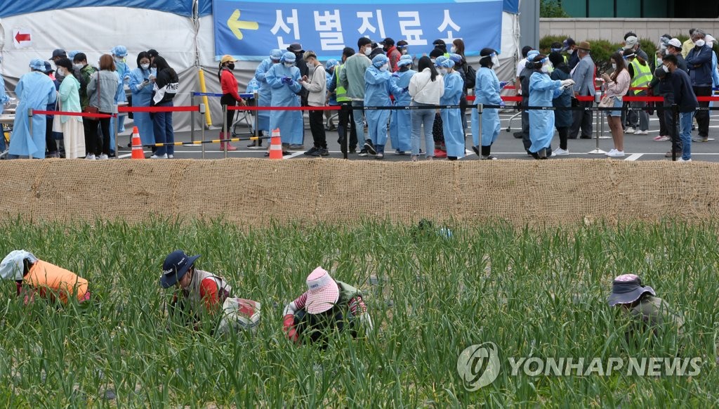 강릉서 외국인 노동자 7명 추가 확진…닷새간 57명 감염