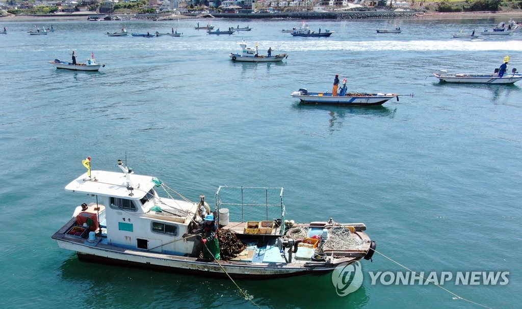 난중일기에도 채취법 기록…통영 견내량 돌미역 채취 시작