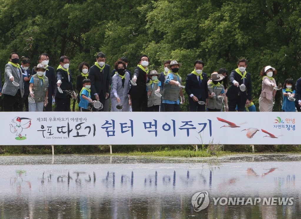 '국내 멸종' 따오기, 창녕 하늘 날다…40마리 자연으로 보내(종합)