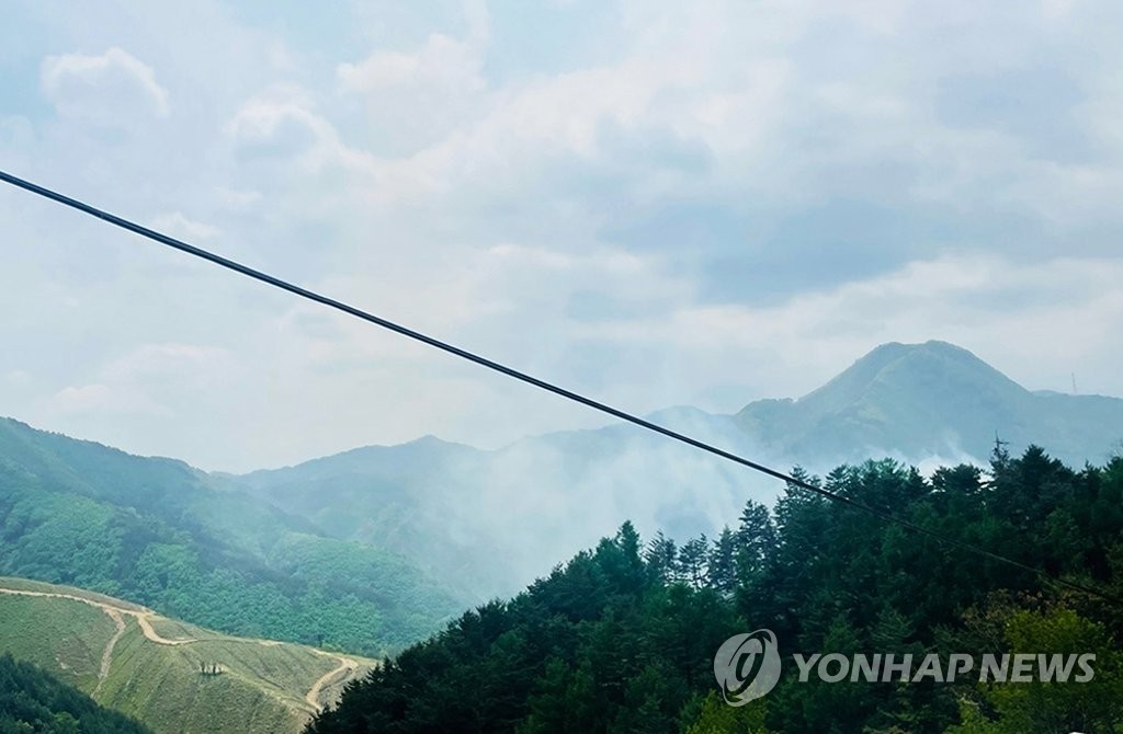 삼척 도계읍 산불 1시간 30분 만에 진화…1천500㎡ 소실(종합)