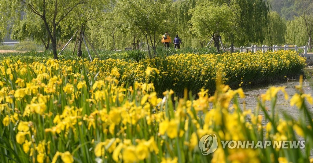 황사 걷히자 전국 유원지 나들이 인파…유명산도 발길 이어져