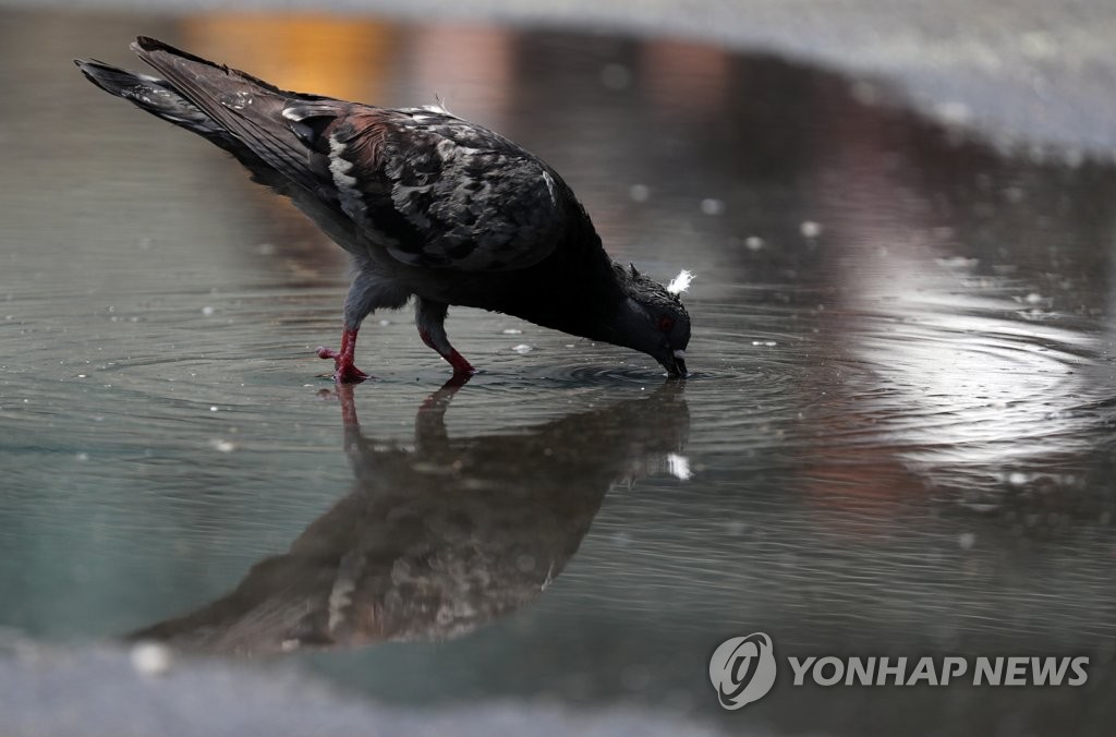 "덥다 더워" 마스크에 땀범벅…5월 한여름 더위에 전국이 헉헉