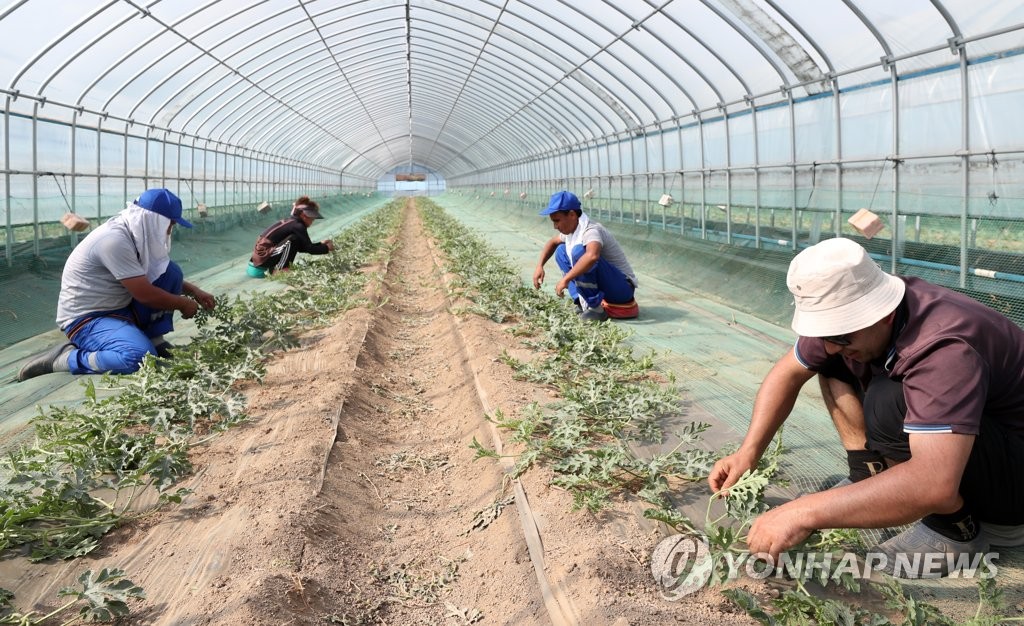 [양구소식] 외국인 노동자 대상 코로나19 선제 검사 추진