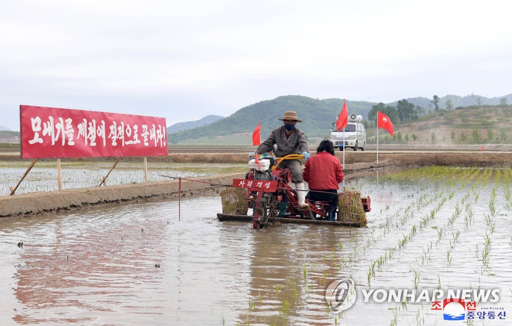 북한, 봄비로 모내기 늦어질까 전전긍긍…"무조건 적기 끝내야"