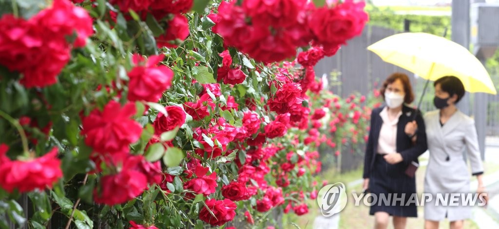 경상권 밤까지 비…내일 흐리다가 차차 맑아져