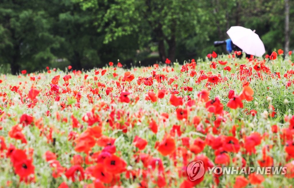 [내일날씨] 비 내리다 남쪽부터 맑아져…서울 낮 21도