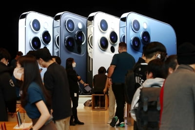 애플, 개발자 아카데미 한국에 문 연다…"부지 선정 작업 중"