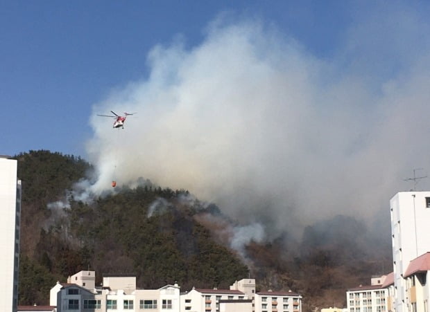 지난 2월 10일 전남 광양시 가야산에서 발생한 화재 /사진=연합뉴스