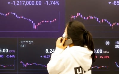 비트코인 '주춤'…도지코인 전날대비 28% 급등