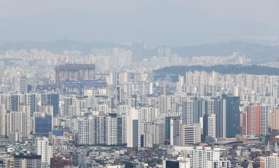 규제 폭탄에도 강남 아파트값은 '급등'…서울 집값 상승 주도
