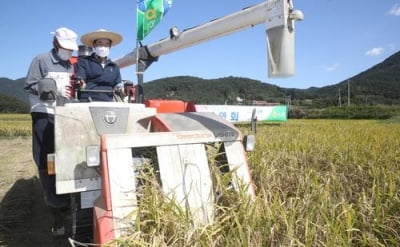 CJ제일제당 끌어들인 진천군 "햇반용 쌀 재배 확대"