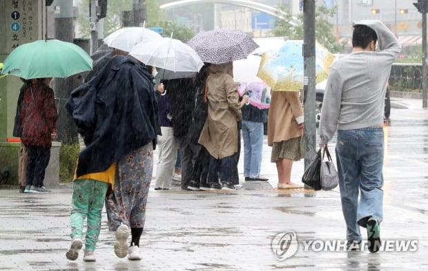 전국 차차 흐려지며 봄비…강풍 주의