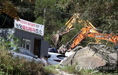 영월 돼지농장서 아프리카돼지열병 확진…7개월만에 재발생(종합)