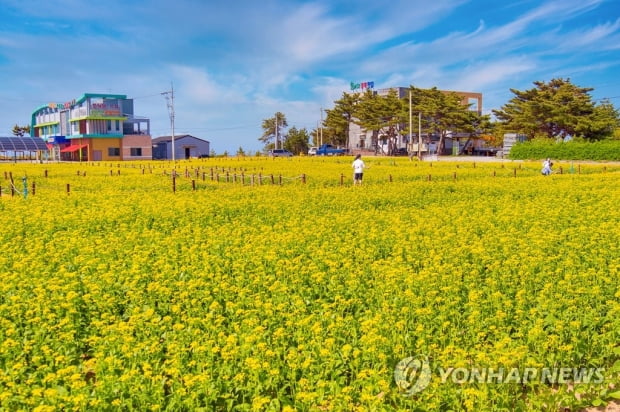 수도권·충남·전북 오전 미세먼지…큰 일교차 유의