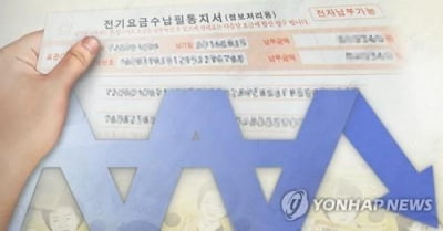 [팩트체크] 전기료 규제하면 해외투자자들 정부에 국제중재 제기?