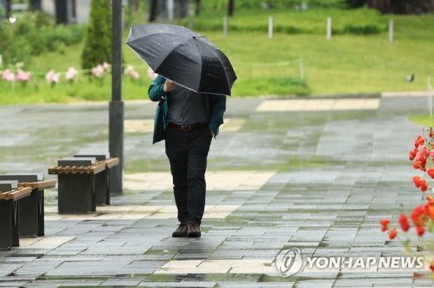 전국 흐리고 비…경기남부·충청권 등 천둥·번개