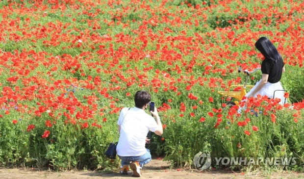 전국 곳곳 봄비에 휴양지 한산…화창한 제주에선 파도타기