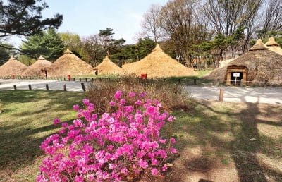 [여기 어때] 서울에서 가장 오래된 마을, 암사동 유적