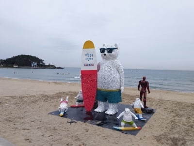 '서핑하는 북극곰' 부산 송정해수욕장에 정크아트 전시