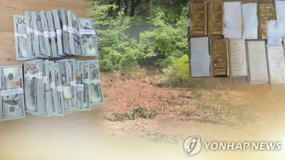 "땅값 상승한다"…개발제한구역 속여 판매한 일당 구속