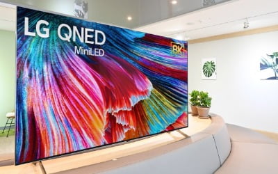 "삼성전자 나와!"…LG전자 첫 미니 LED TV 'LG QNED' 출격