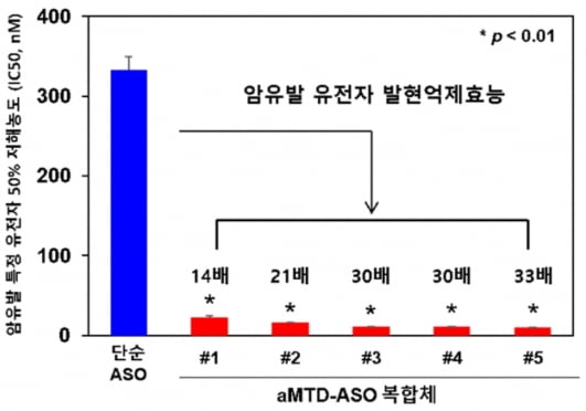 TSDT 플랫폼기술이 적용된 펩타이드-핵산 복합체(aMTD-ASO conjugate)가 세포 내부로 전송돼,  최대 33배 99% 신뢰수준의 암유발 특정유전자 발현억제효능을 증명했다. /자료 제공=셀리버리