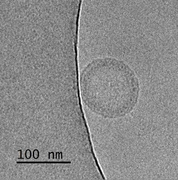 인벤티지랩 "mRNA 백신 핵심 LNP 대량생산 시스템 기반 기술 확보"