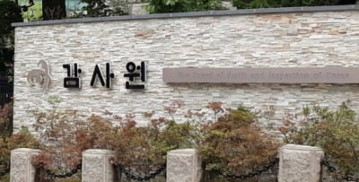 [속보] 감사원 "국민의힘 부동산 전수조사 실시 불가"