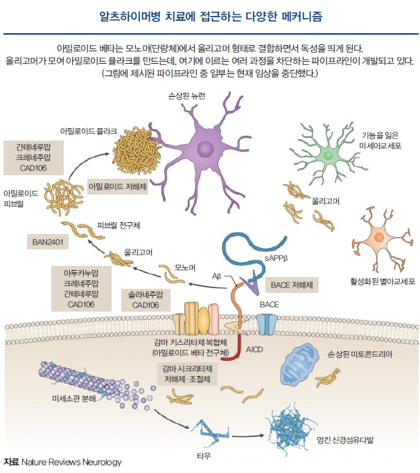 [Cover Story - part.1] 아밀로이드 가설은 정말 회생했을까? …슬기로운 아밀로이드 공략 생활