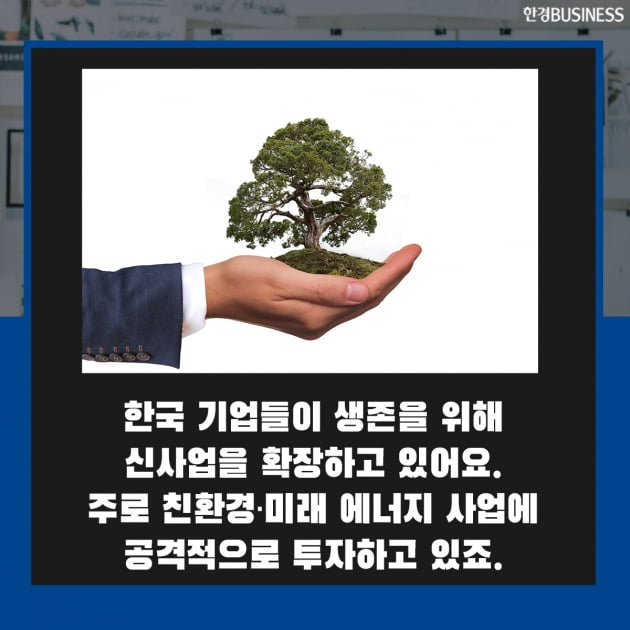 [영상 뉴스] 미래 먹거리 찾아라… 한국 주요 기업들 사업구조 개편 박차