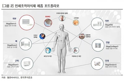 “엘앤씨바이오, 中진출 가속화 전망…실적 반영될 것”