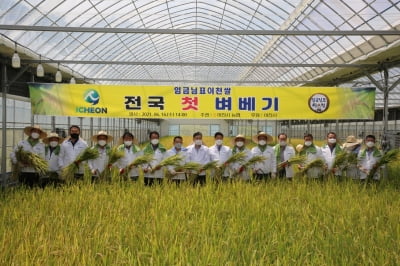 경기 이천시, 올해 전국 첫 벼 베기 행사 '호법면 안평리 뜰에서 진행'