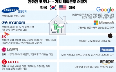 코로나 완화... '미국기업 vs 한국기업' 재택근무 어떻게 될까