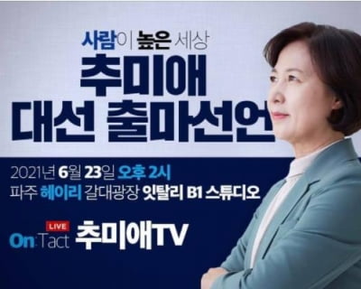 '꿩 잡는 매' 추미애, 오늘 대권 출사표