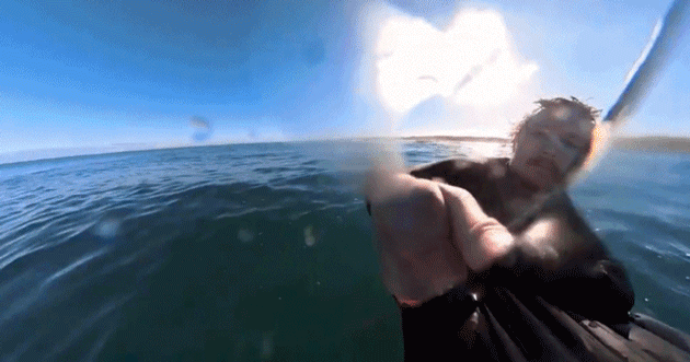 [영상] "숨 멎는 줄 알았다"…카메라에 포착된 상어 '아찔'