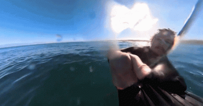 [영상] "숨 멎는 줄 알았다"…카메라에 포착된 상어 '아찔'