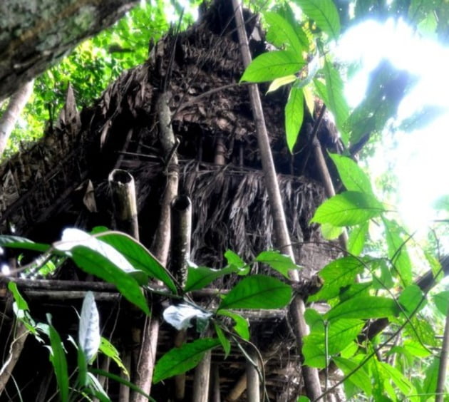 보 반 랑과 그의 부친이 살았던 정글에 있던 집/사진=온라인 커뮤니티